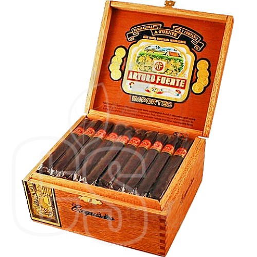 ARTURO FUENTE EXQUISITOS MADURO