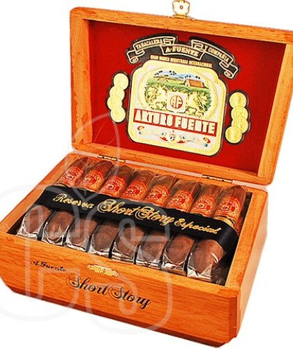 ARTURO FUENTE HEMINGWAY SHORT STORY